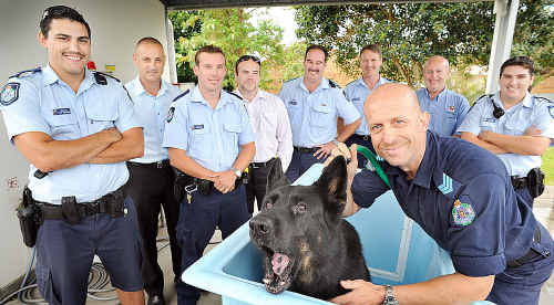 The boys in blue and getting ready for a Movember fundraiser. Pictured is police dog Mavro with handler Sgt Ian Grigoris and (L) Cnst Steve Henderson, Reuben Vidal, Cnst Shannon Gray, Adam Quemard, Sgt Darryn Morris, Snr Cnst Tom MacKinnon, police chaplain Rev Brian Hoole and Cnst Scott Holz. The boys in blue and getting ready for a Movember fundraiser. Pictured is police dog Mavro with handler Sgt Ian Grigoris and (L) Cnst Steve Henderson, Reuben Vidal, Cnst Shannon Gray, Adam Quemard, Sgt Darryn Morris, Snr Cnst Tom MacKinnon, police chaplain Rev Brian Hoole and Cnst Scott Holz.